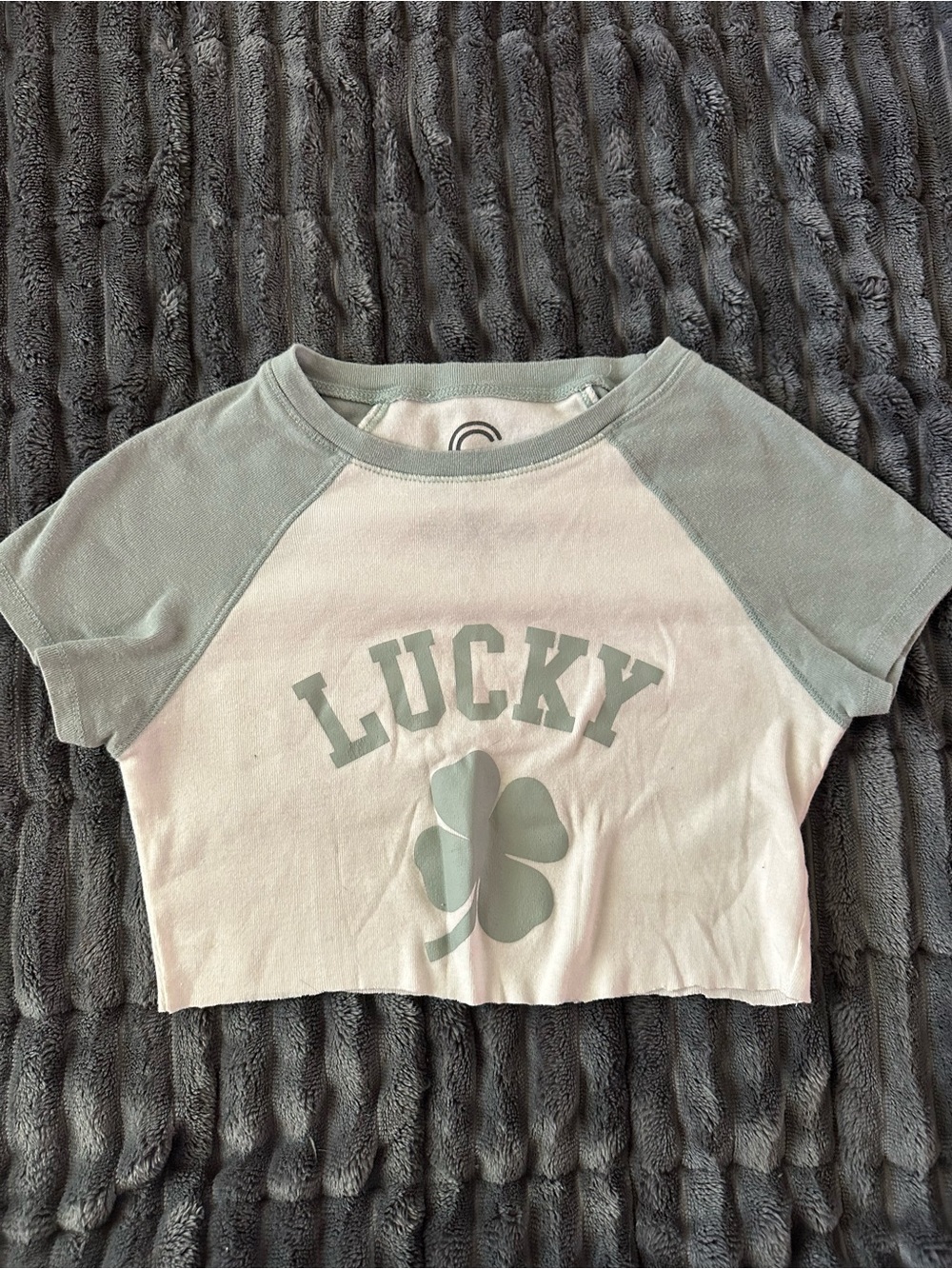 Lucky Clover Raglan Crop Top - Light Sage/White